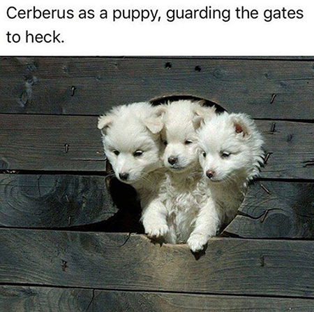 Cerebus as a Puppy