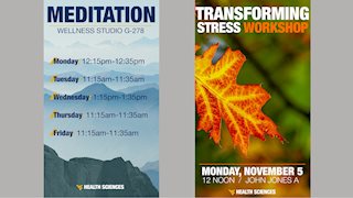 Daily Meditation and Transforming Stress Workshop offered this November    