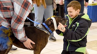 A doggone good time at the WVU Medicine Children's Kids Fair; photo gallery available