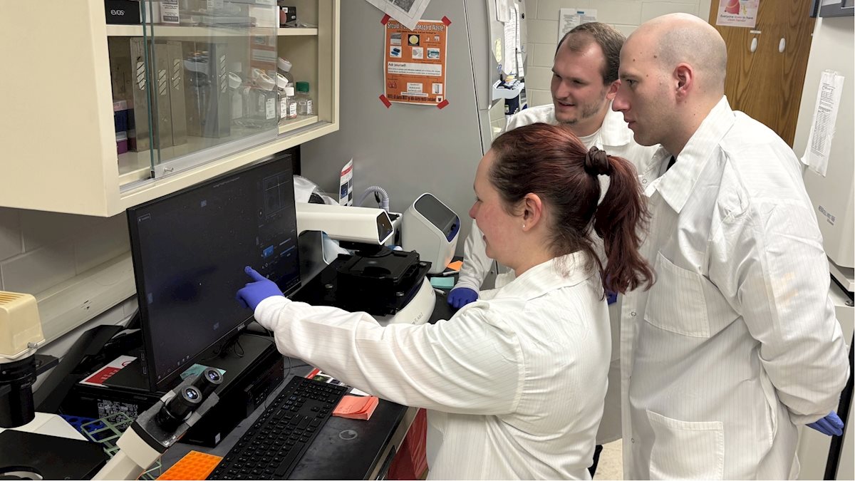 By studying cells’ decision making, WVU researchers learn how glucose drives disease
