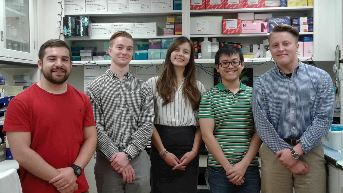 Cancer Institute welcomes 2018 summer undergraduate research fellows