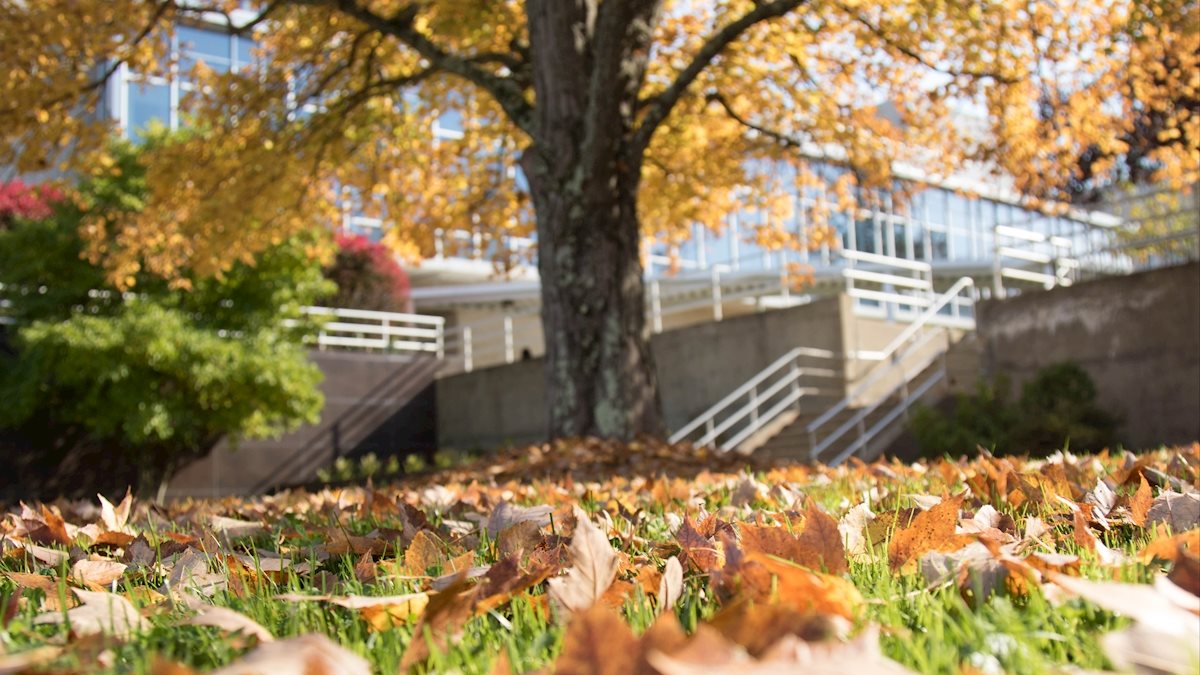 Fall