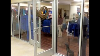 Friends Gift Shop to host grand opening and tailgate party