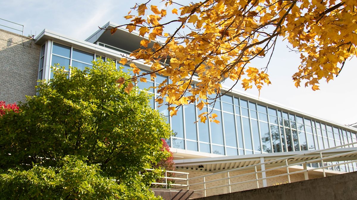 Health Sciences community invited to celebrate faculty, staff at Chancellor’s Awards ceremony