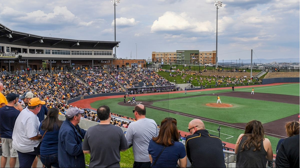 Health Sciences Day at the Ballpark planned for June 23