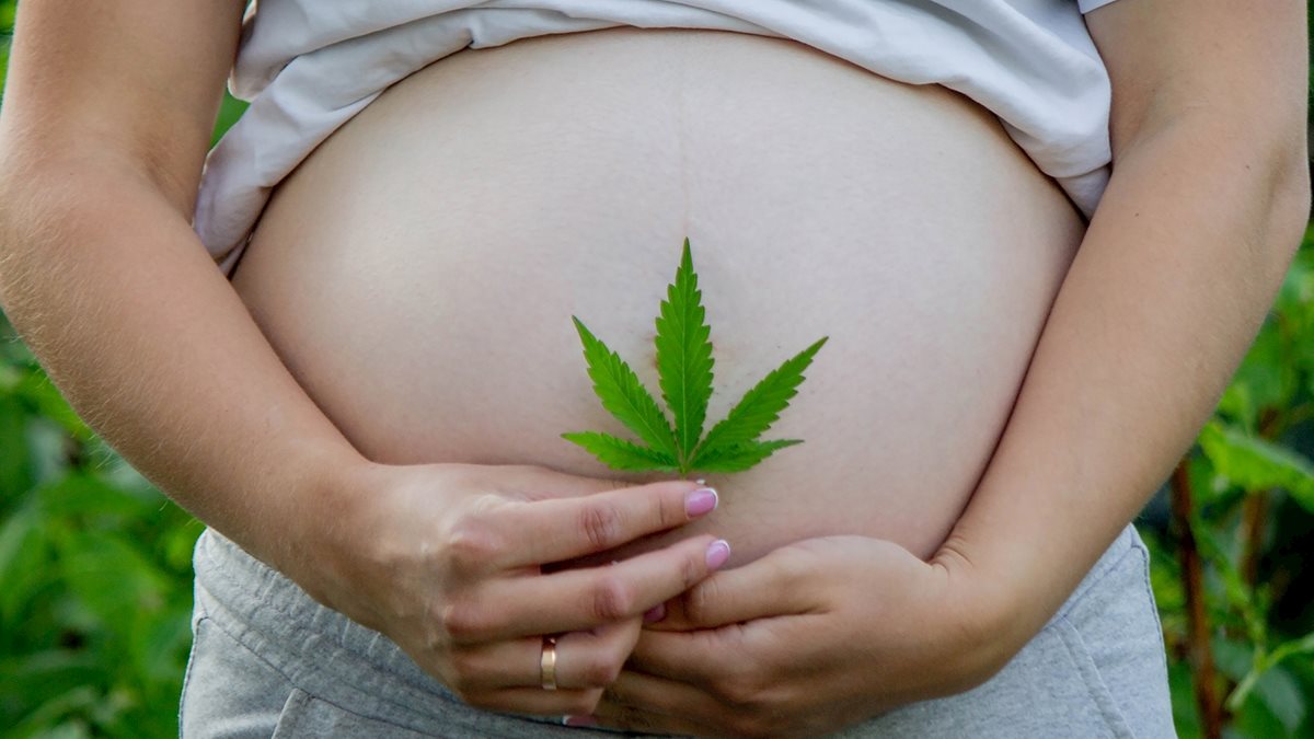 IMPACT WV launches new marijuana self-paced online learning module