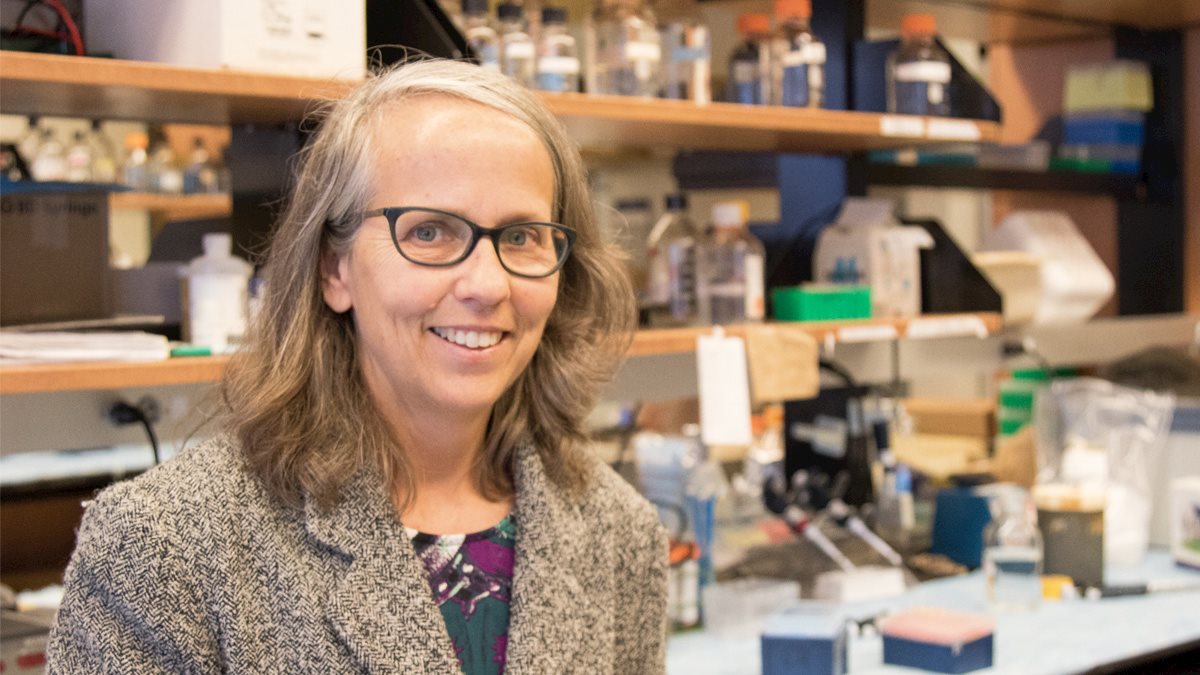 Lori Hazlehurst named as WVU Cancer Institute Associate Director
