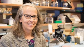 Lori Hazlehurst Named As WVU Cancer Institute Associate Director