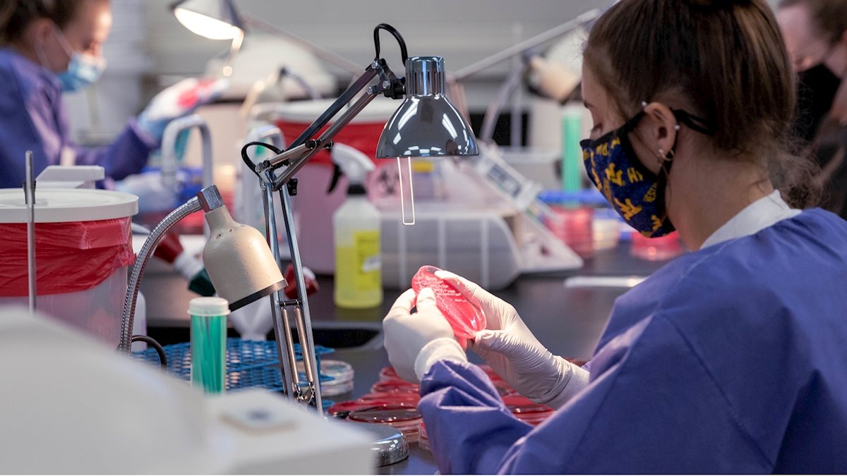 Master of Science in Medical Laboratory Science program to hold virtual open house