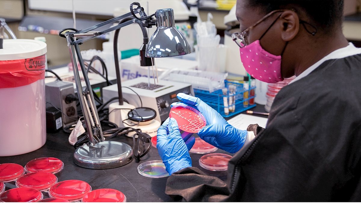 Master of Science in Medical Laboratory Science program to hold virtual open house