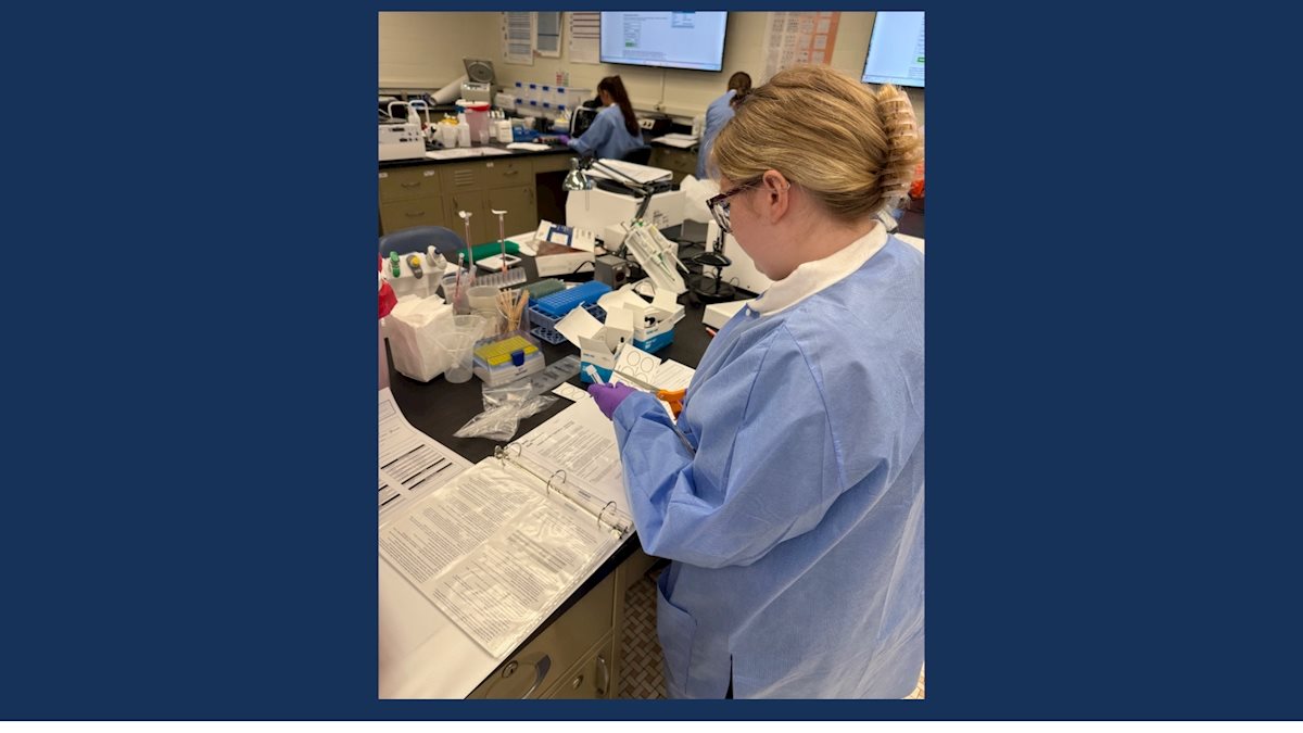Medical Laboratory Science students participate in simulation lab