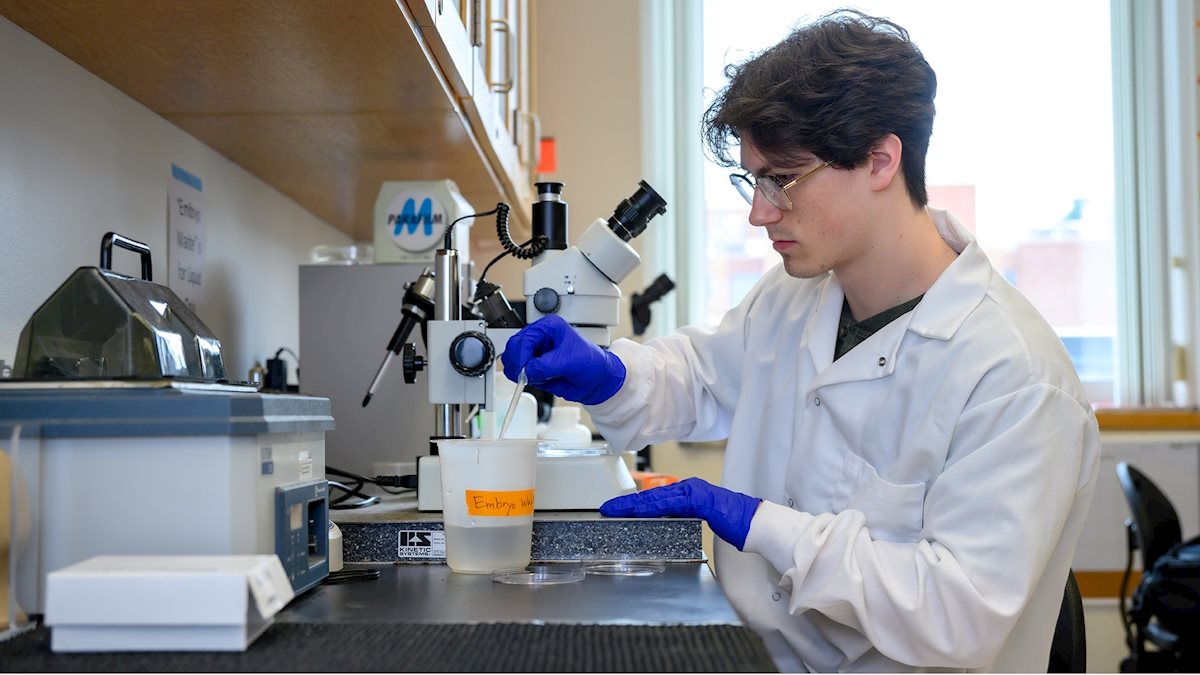 NEI grant will support undergraduate research at WVU as faculty researchers and students partner to explore relationship between vision and the brain