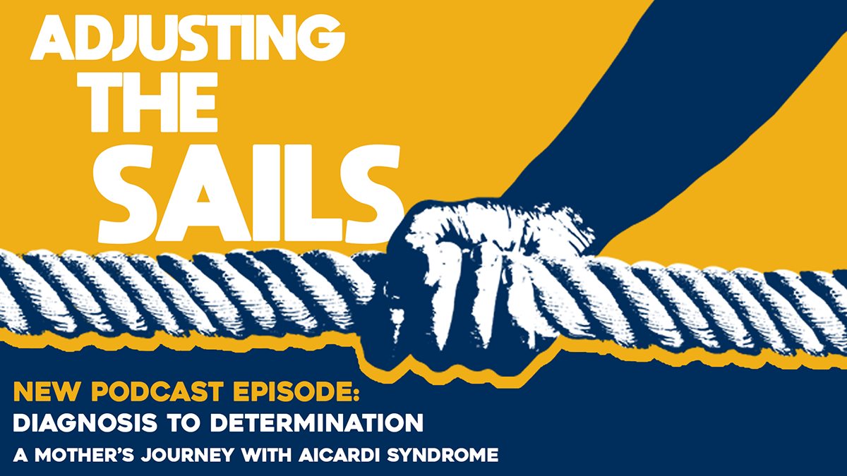 New podcast episode: Diagnosis to Determination