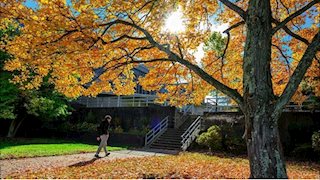 Next Steps: WVU Magazine details the University’s path forward