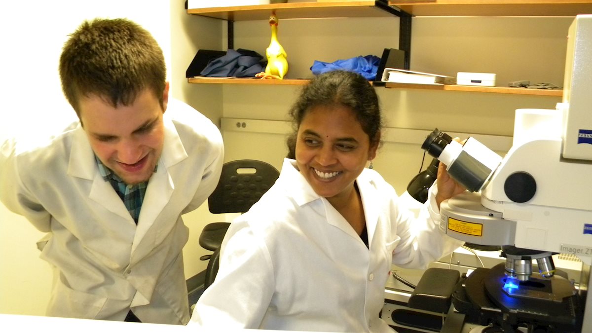 NIH Summer Internship Program announced