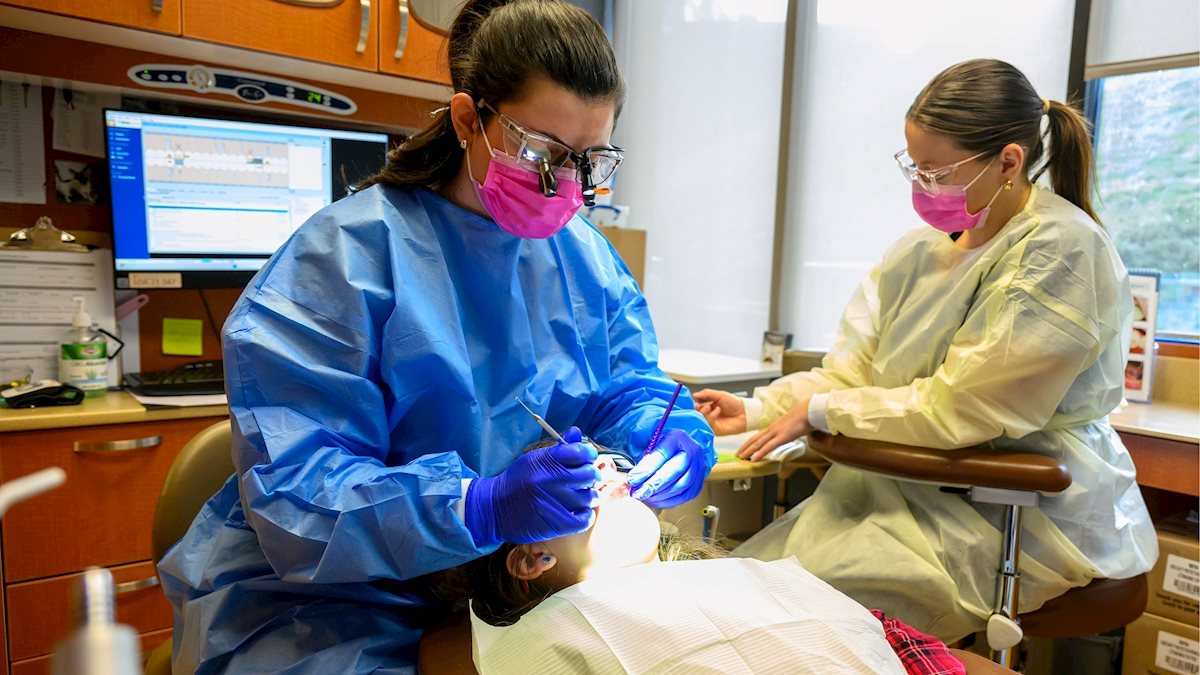 Prospective students invited to learn about WVU DDS program at GoDental Virtual Fair
