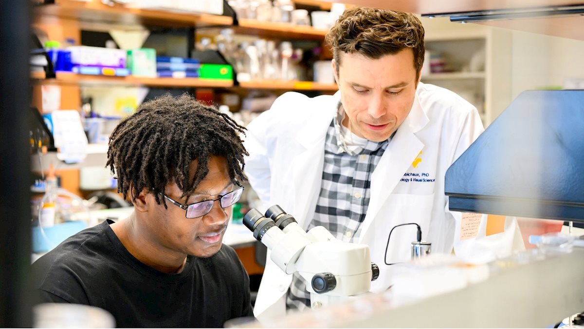 Summer Undergraduate Vision Research Fellowship Program now accepting applications for 2026