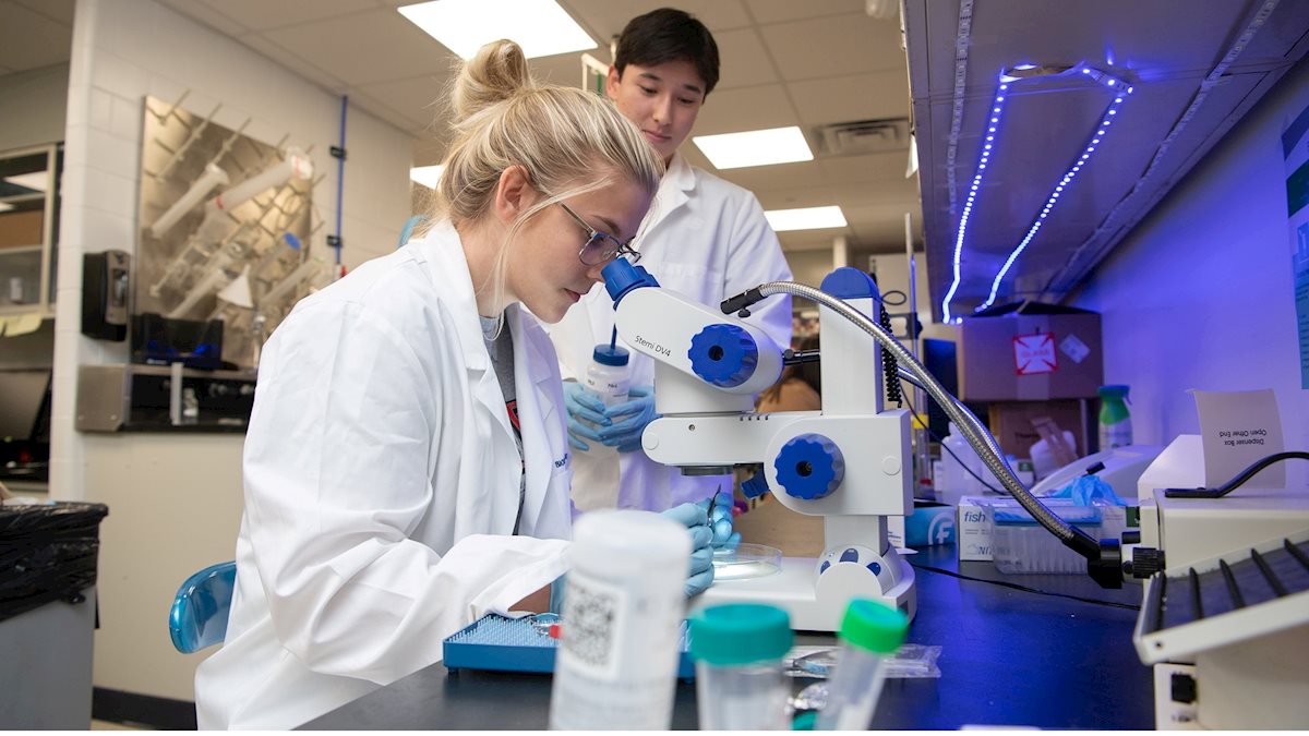 Summer Undergraduate Vision Research Fellowship Program 8