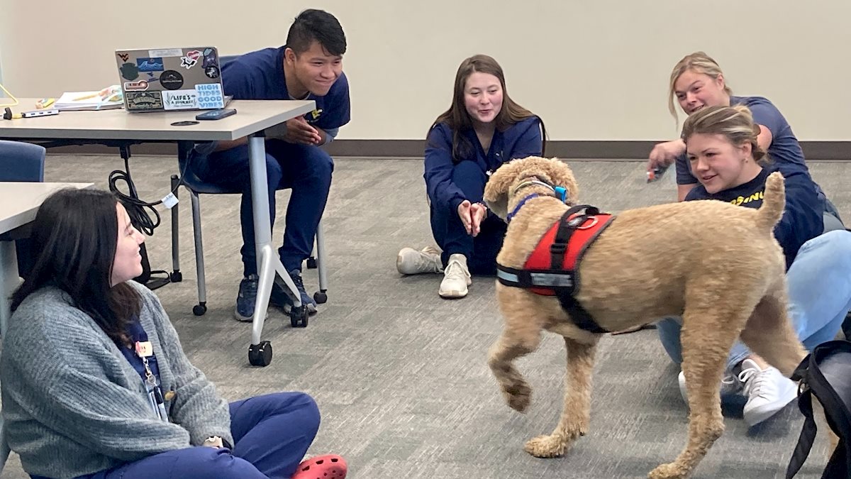 Therapy dog visits Bridgeport Campus nursing students School of