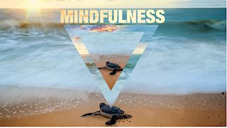 Three Ways to Practice Mindfulness this Summer