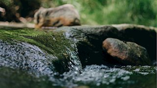 Turning a tsunami into a stream