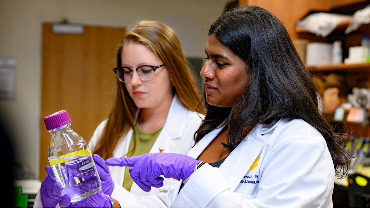 Undergraduate students explore methods behind PROM1 retinal protein mutations through hands-on summer research program
