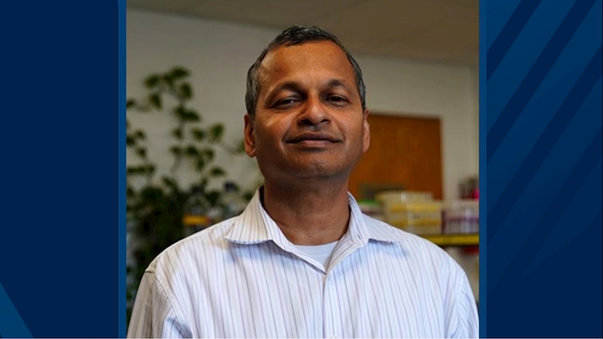 Visvanathan Ramamurthy, Ph.D., to be named WVU Health Sciences Chair in Research and Scholarships