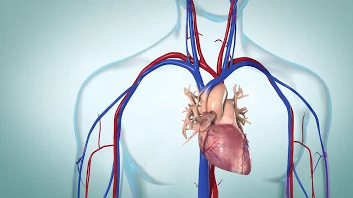 What do you need to know about heart failure? | School of Medicine ...