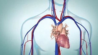What do you need to know about heart failure?