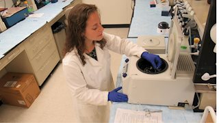WV-INBRE Request for Cancer Biology Grant Applications