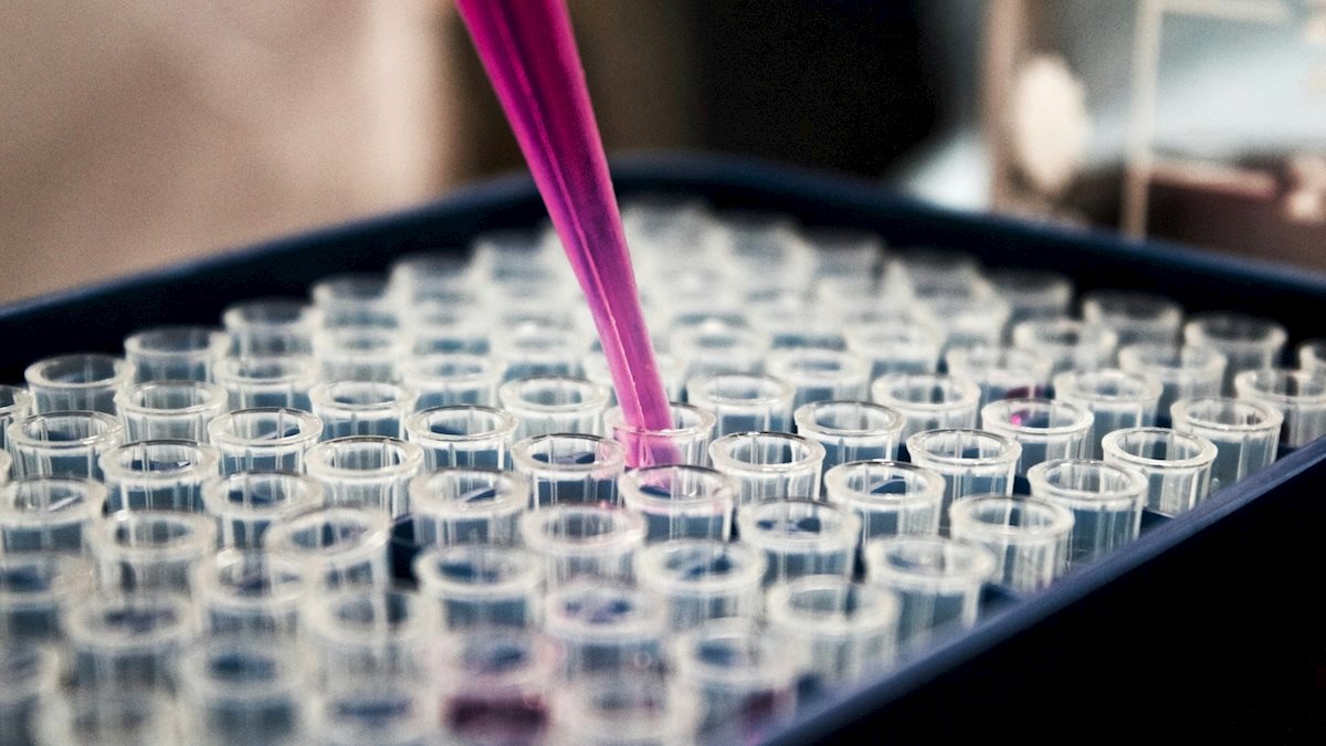 WVCTSI receives Notice of Award for major NIH grant installment