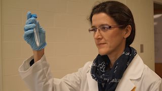 WVCTSI and WVU research aims to increase addiction treatment effectiveness