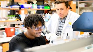 WVU assistant professor introduces undergraduate students to world of vision research through collaborative research program