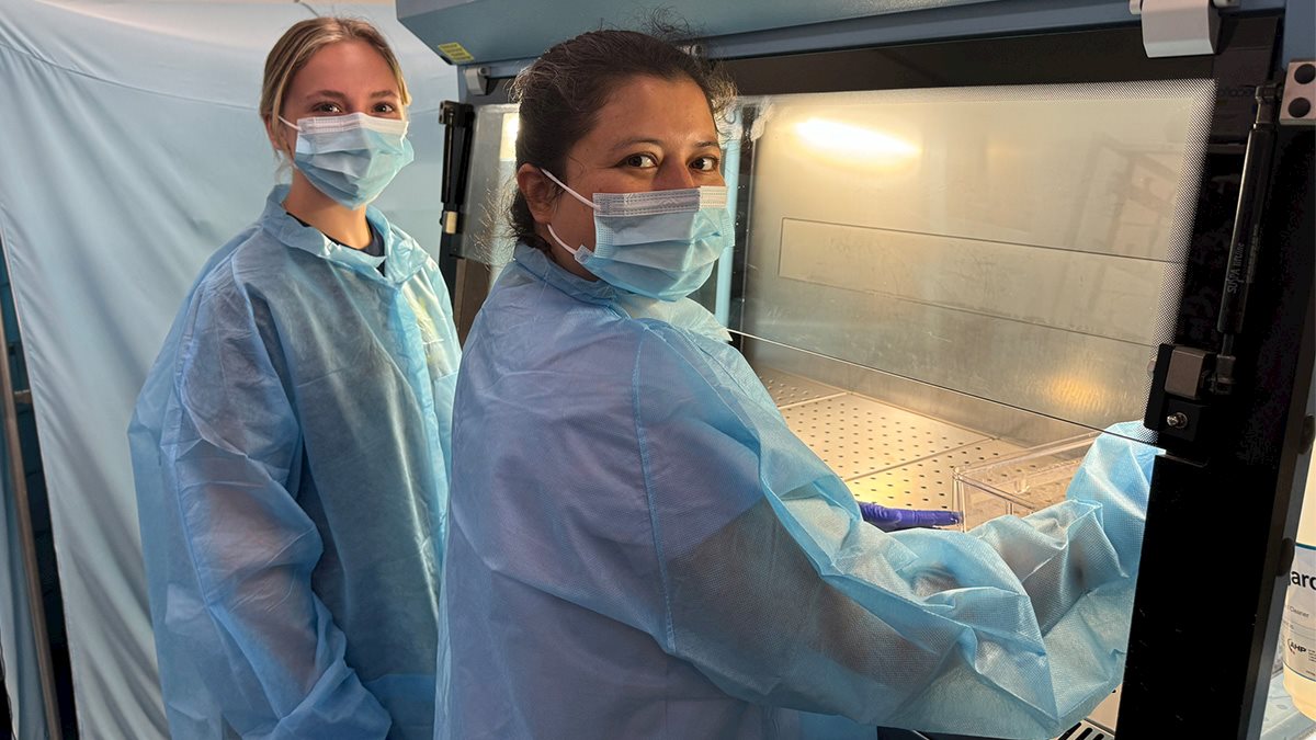 WVU Cancer Institute Summer Undergraduate Research Program now accepting applications 
