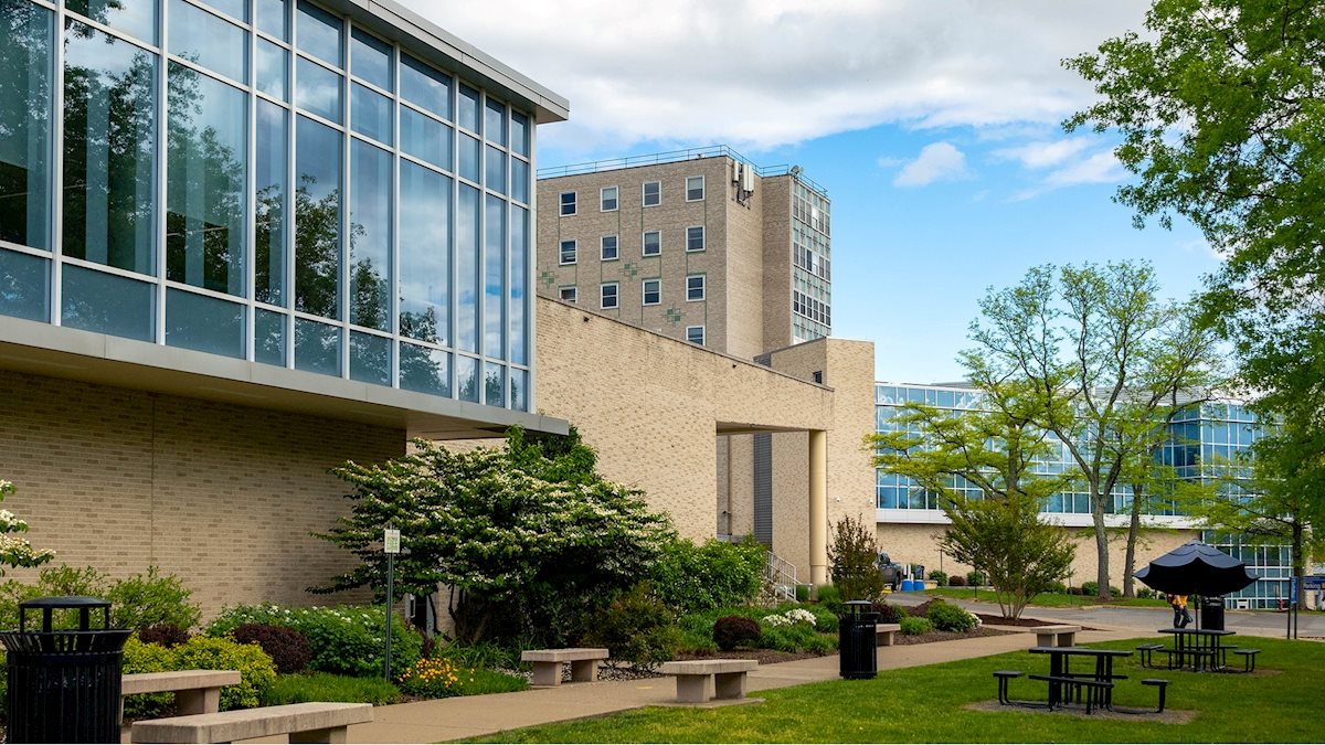 WVU graduate student leads research project aimed at utilizing innovative gene therapy techniques to fight against blue cone monochromacy