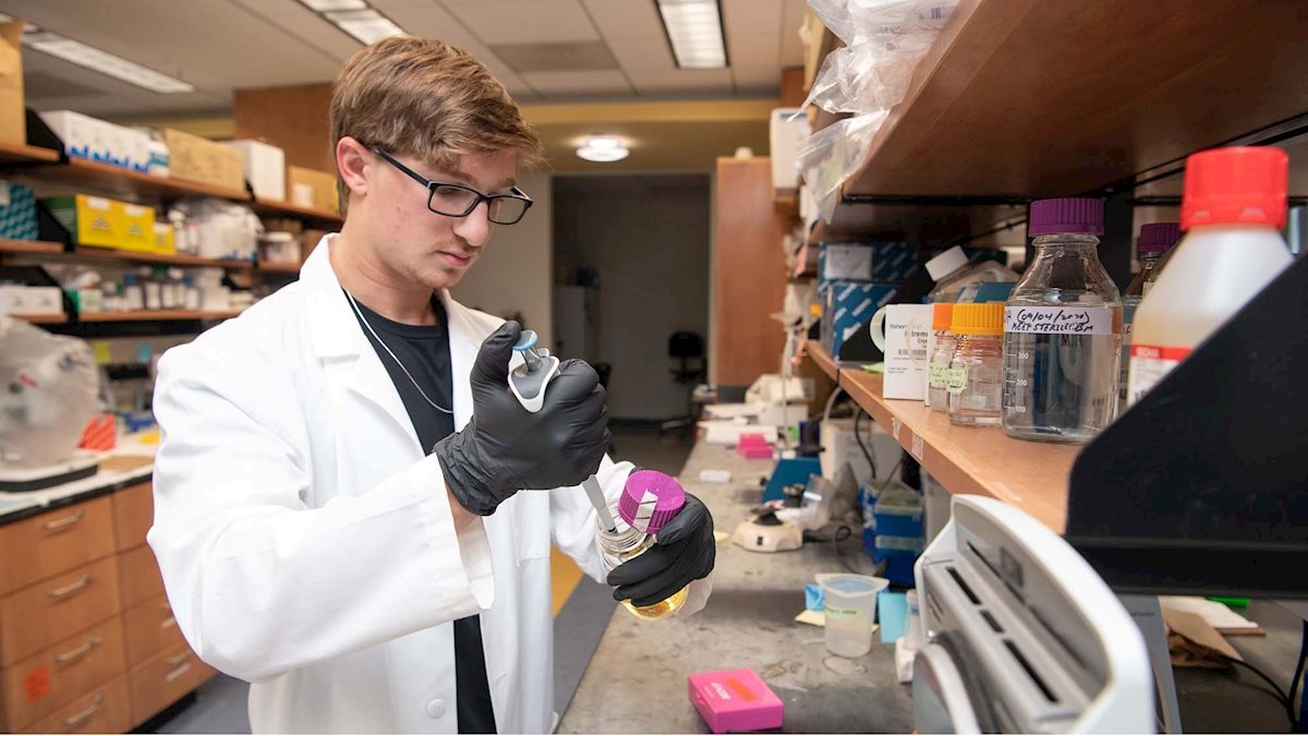 WVU immunology senior finds passion for discovery through a vision research program