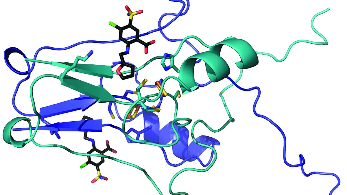 WVU in the News: Advancing toward Treatments for Stroke, Diabetes, Dementia