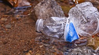 WVU in the News: The plastic problem – Waste poses serious risks to human, environmental health