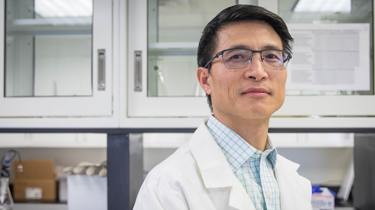 WVU-led research team to study turning carbon dioxide from power plants into valuable products