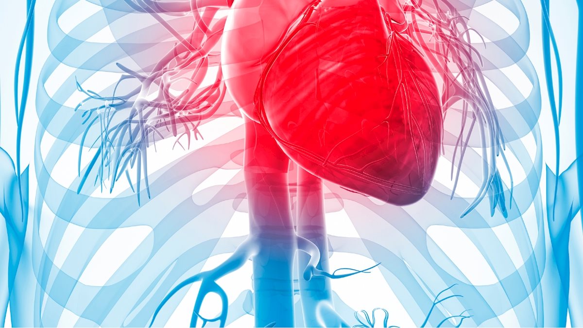 WVU Medicine Berkeley Medical Center receives echocardiography accreditation