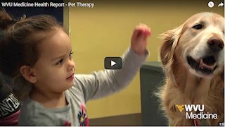 WVU Medicine Health Report - Pet therapy
