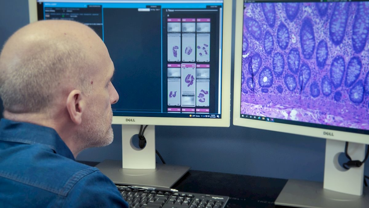 WVU Medicine pathologists implement a digital imaging system 