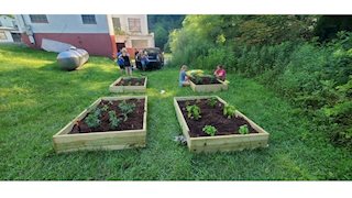 WVU Nursing, Extension partnership to support community garden efforts in Mercer County