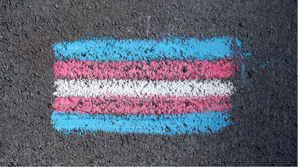 WVU nursing student organizes Trans Safe Zone Training