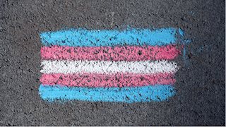 WVU nursing student organizes Trans Safe Zone Training