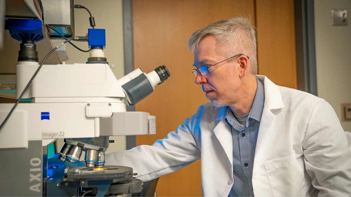 WVU researcher develops data-driven approach to help reduce drug costs and treat diseases