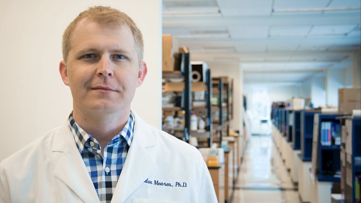 WVU researcher receives $1.6 million to fight inflammation in neurodegenerative diseases
