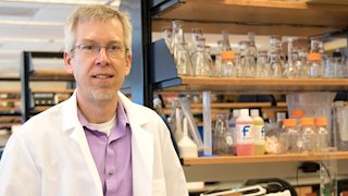 WVU researcher receives $1.7 million award to fight cancer