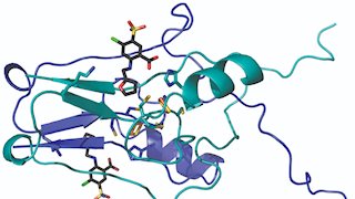 WVU researchers map crystals to advance treatments for stroke, diabetes, dementia