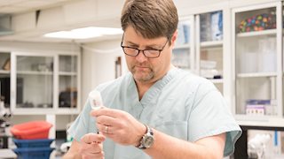 WVU researchers study the effects of vaping during pregnancy
